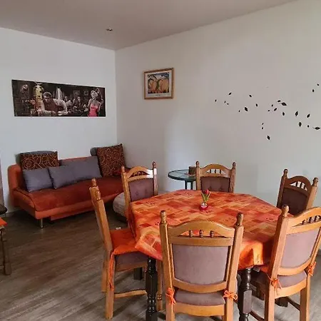 Nitteler Zauberpfoten