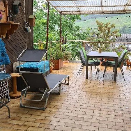 Nitteler Zauberpfoten