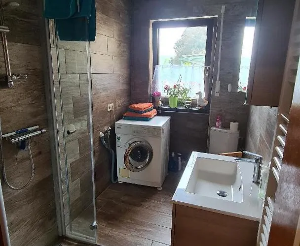 Nitteler Zauberpfoten