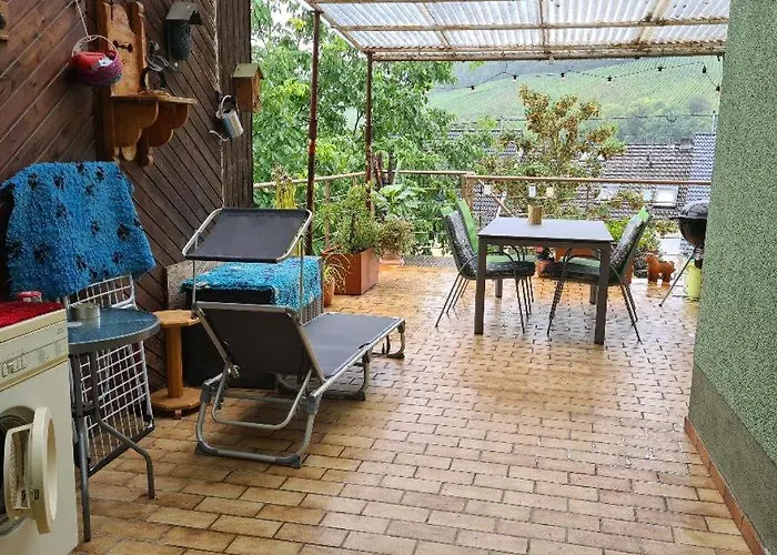 Nitteler Zauberpfoten